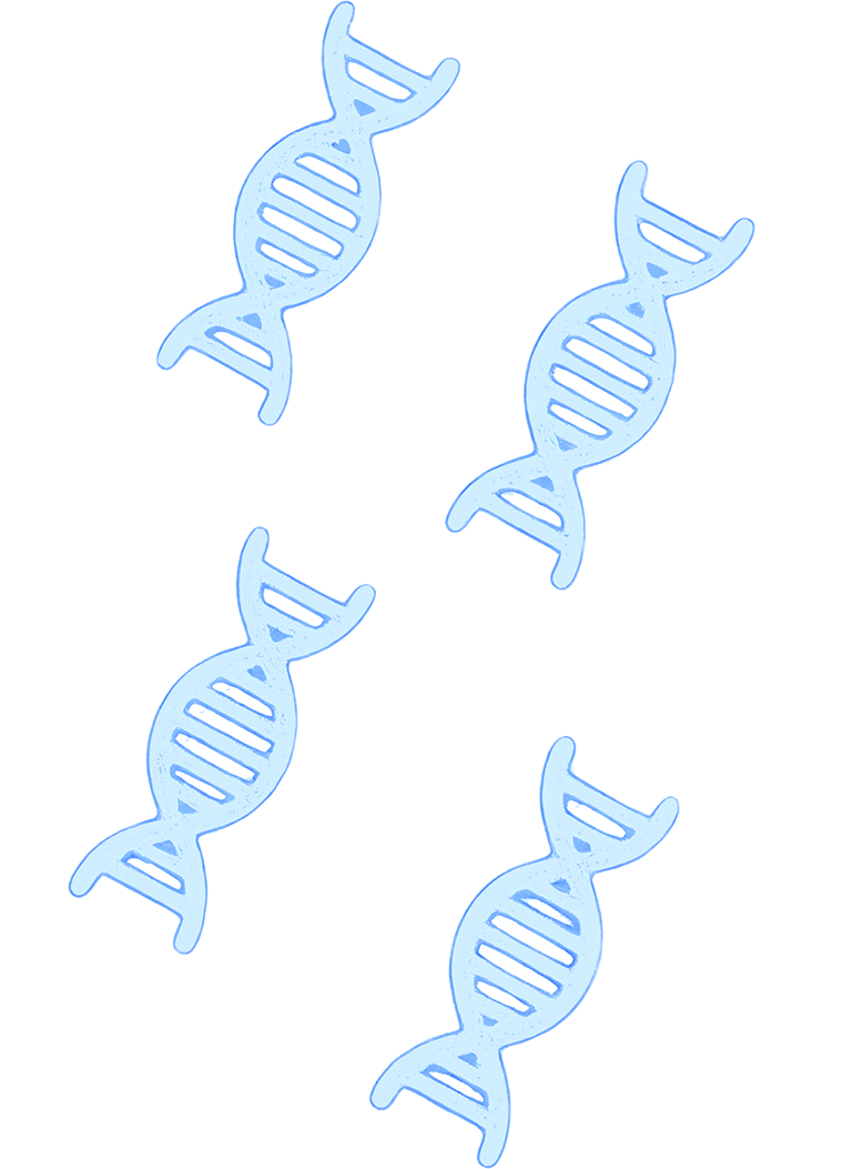 dna-01-s