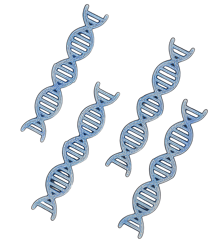dna-02-s