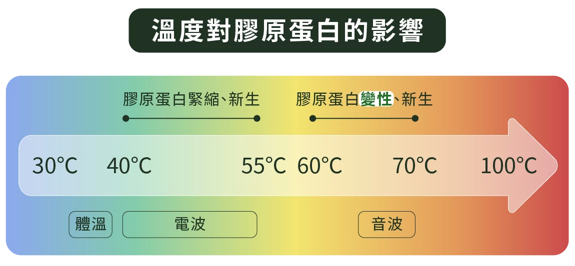 溫度對膠原蛋白的影響說明圖