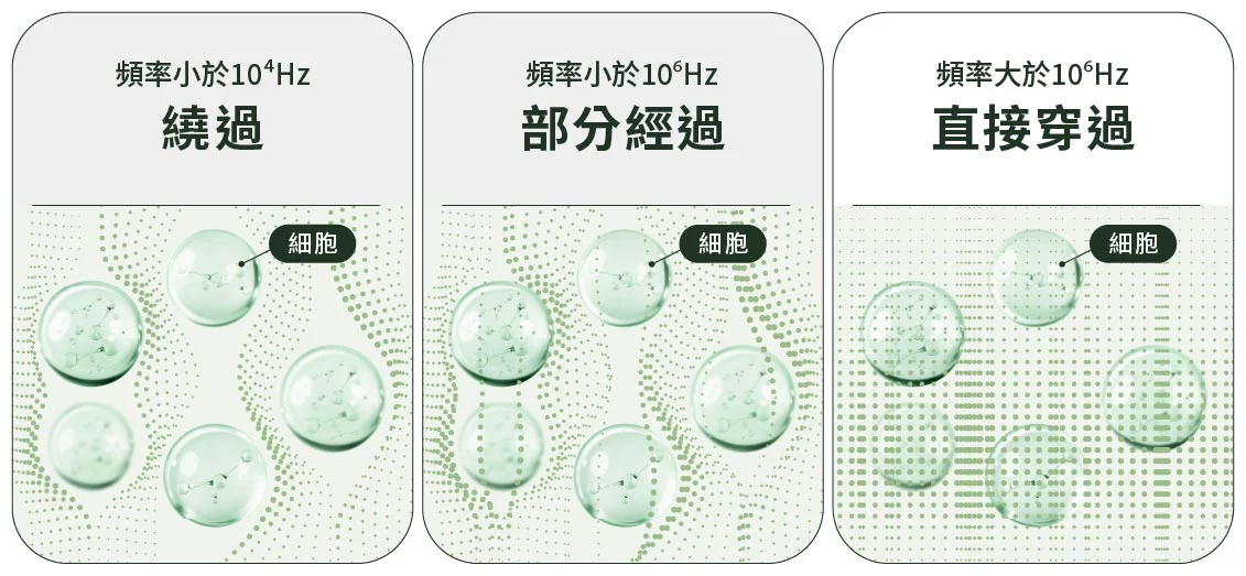 頻率與細胞之間的關係