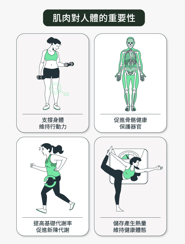 肌肉對人體的重要性