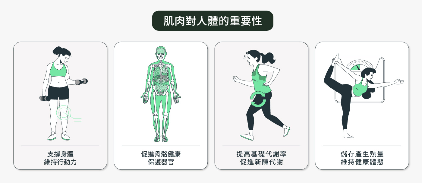 肌肉對人體的重要性