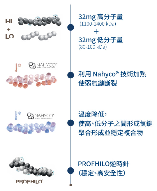 Profhilo逆時針作用機制