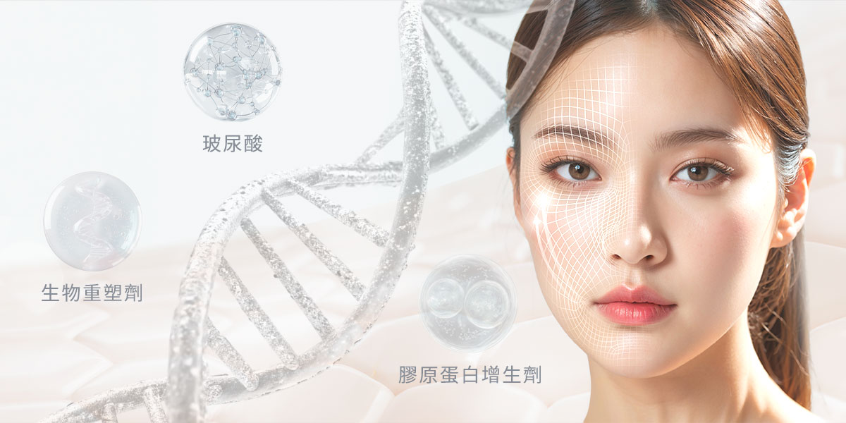 2026醫美趨勢_不同類型的填充劑