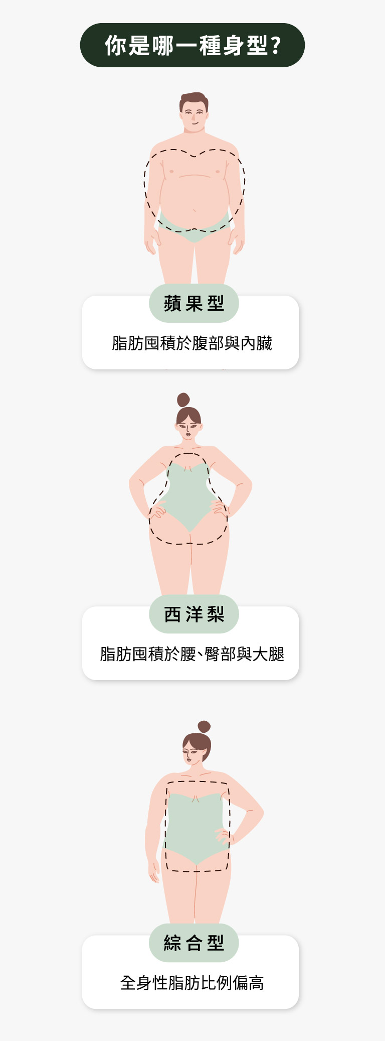 你是哪一種身型?蘋果型/西洋梨/綜合型