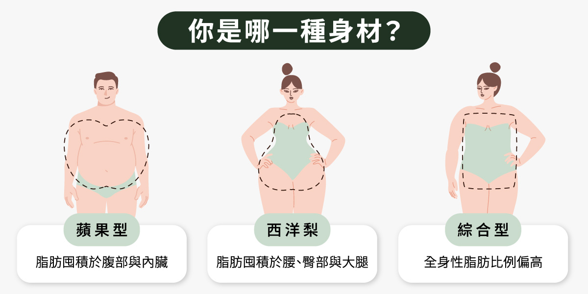 你是哪一種身型?蘋果型/西洋梨/綜合型