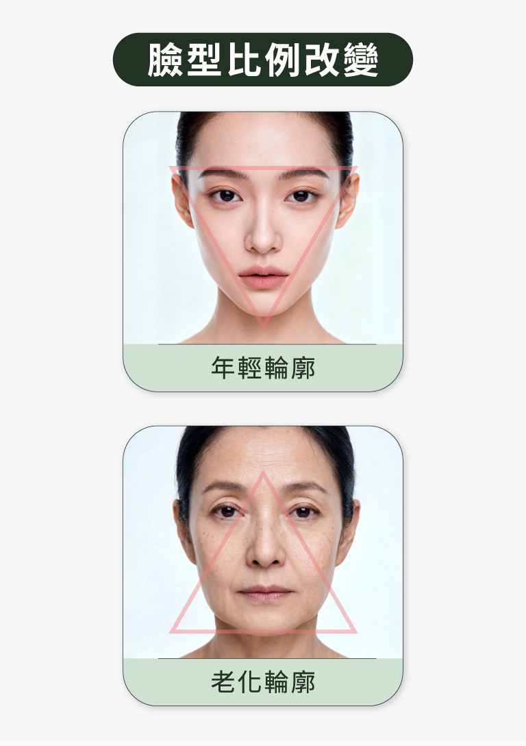 輪廓線消失_年輕與老化臉型輪廓改變