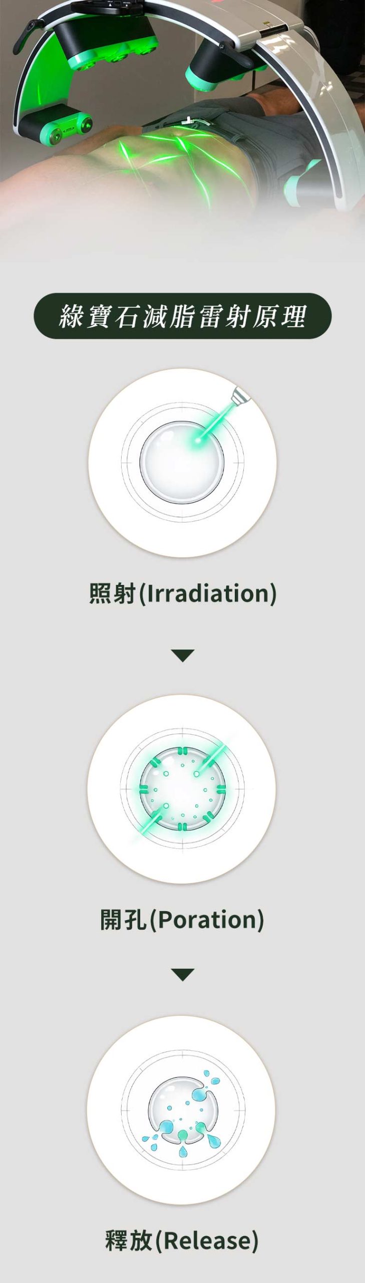 綠寶石減脂雷射原理
