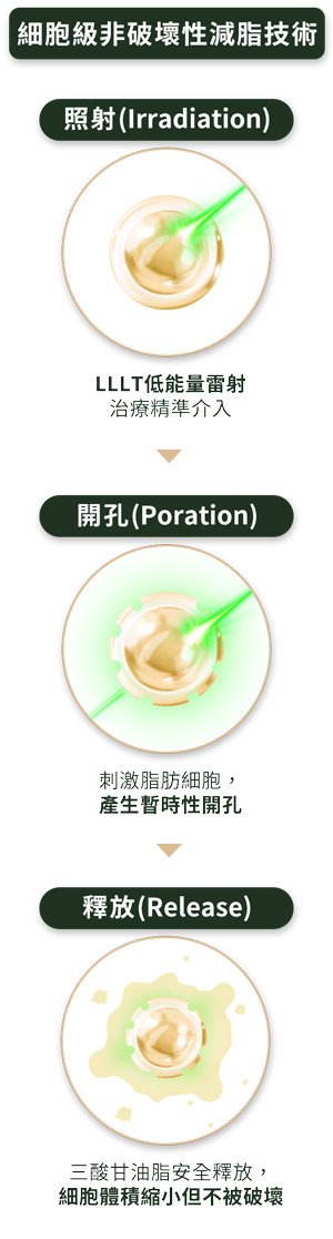細胞級非破壞性減脂技術