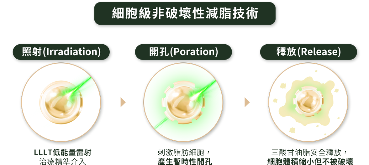 細胞級非破壞性減脂技術