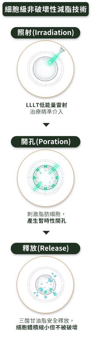 細胞級非破壞性減脂技術