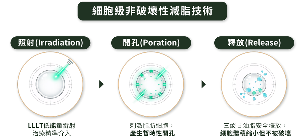 細胞級非破壞性減脂技術