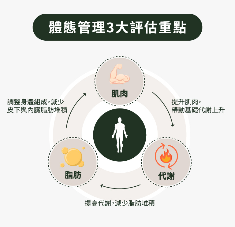 體態管理3大評估重點
