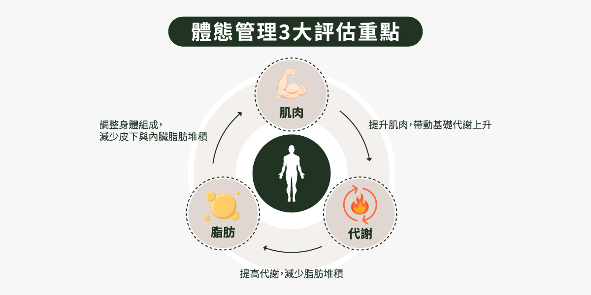 體態管理3大評估重點