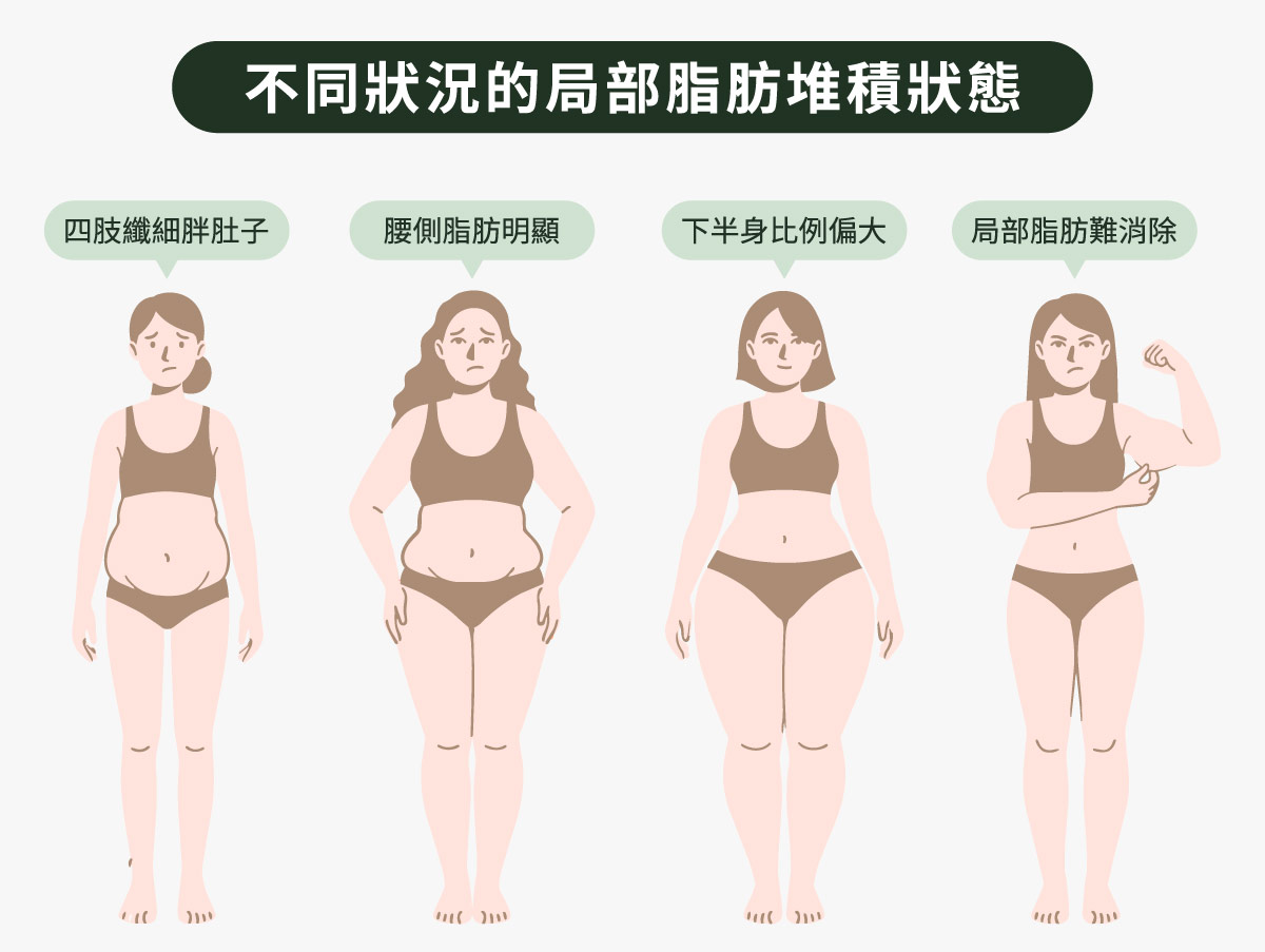 不同狀況的局部脂肪堆積狀態