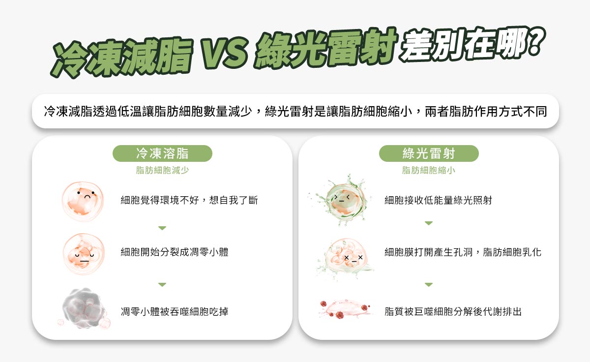 冷凍減脂vs綠光雷射差異 脂肪作用機制分析
