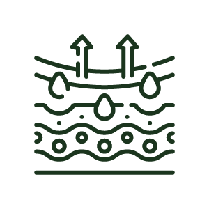 緊緻重建
