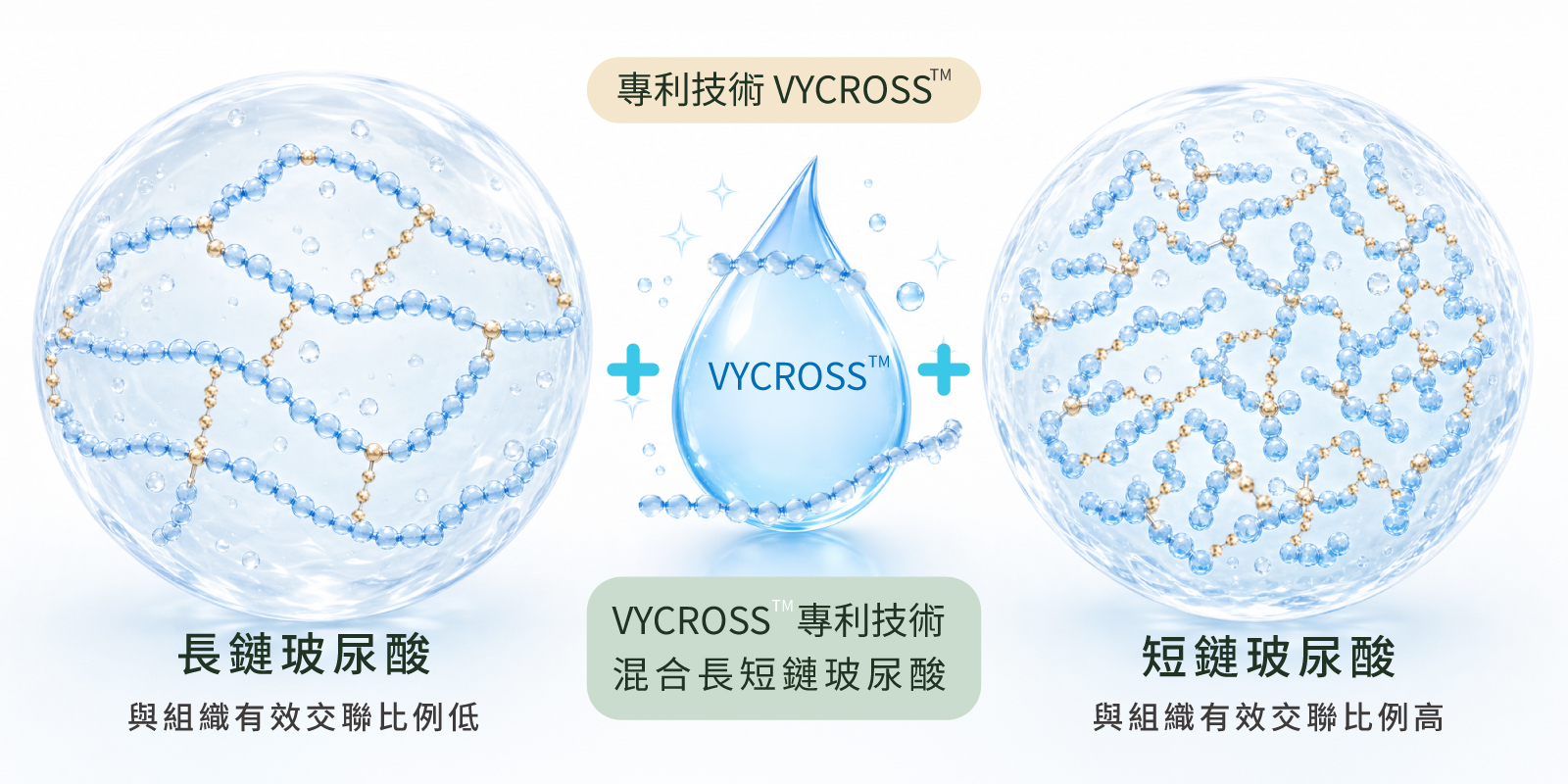 Vycross®專利技術
