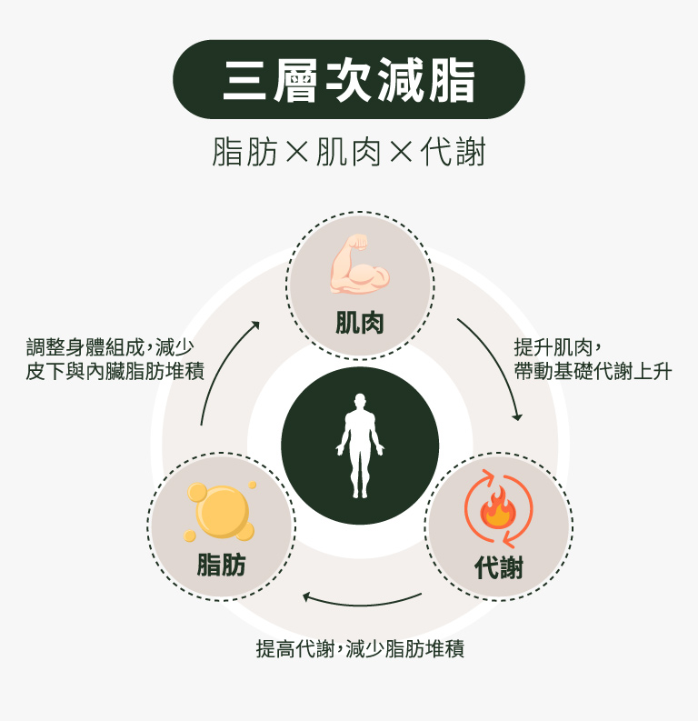 三層次減脂