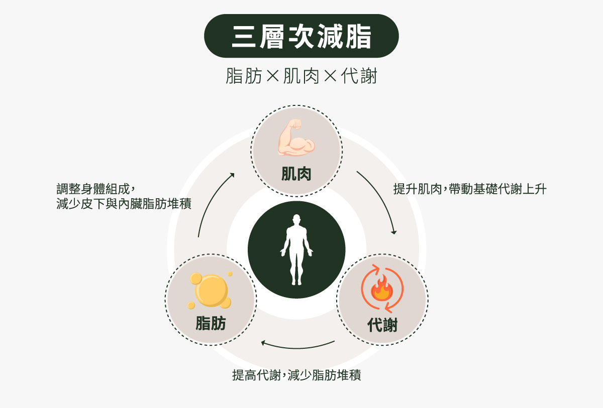 三層次減脂