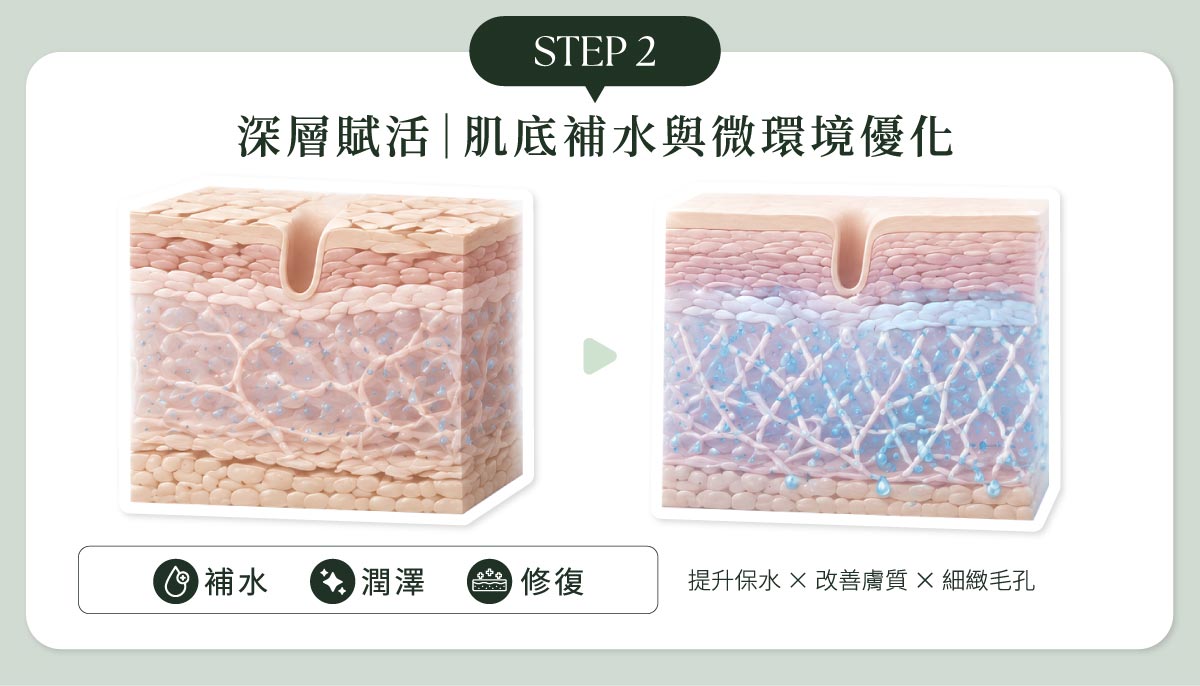 毛孔粗大改善STEP2：深層賦活｜肌底補水與微環境優化
