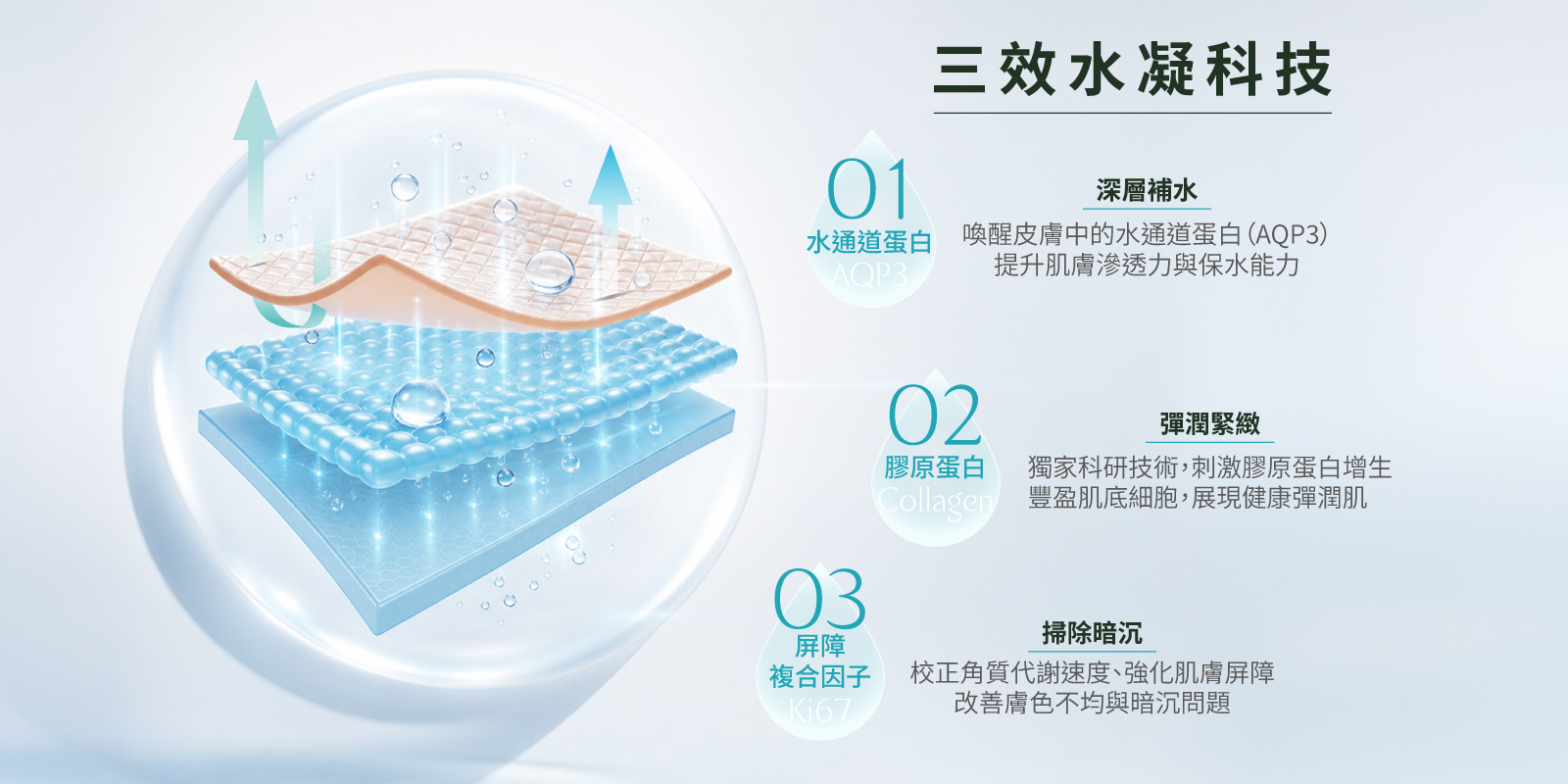 聚光針：三效水凝科技