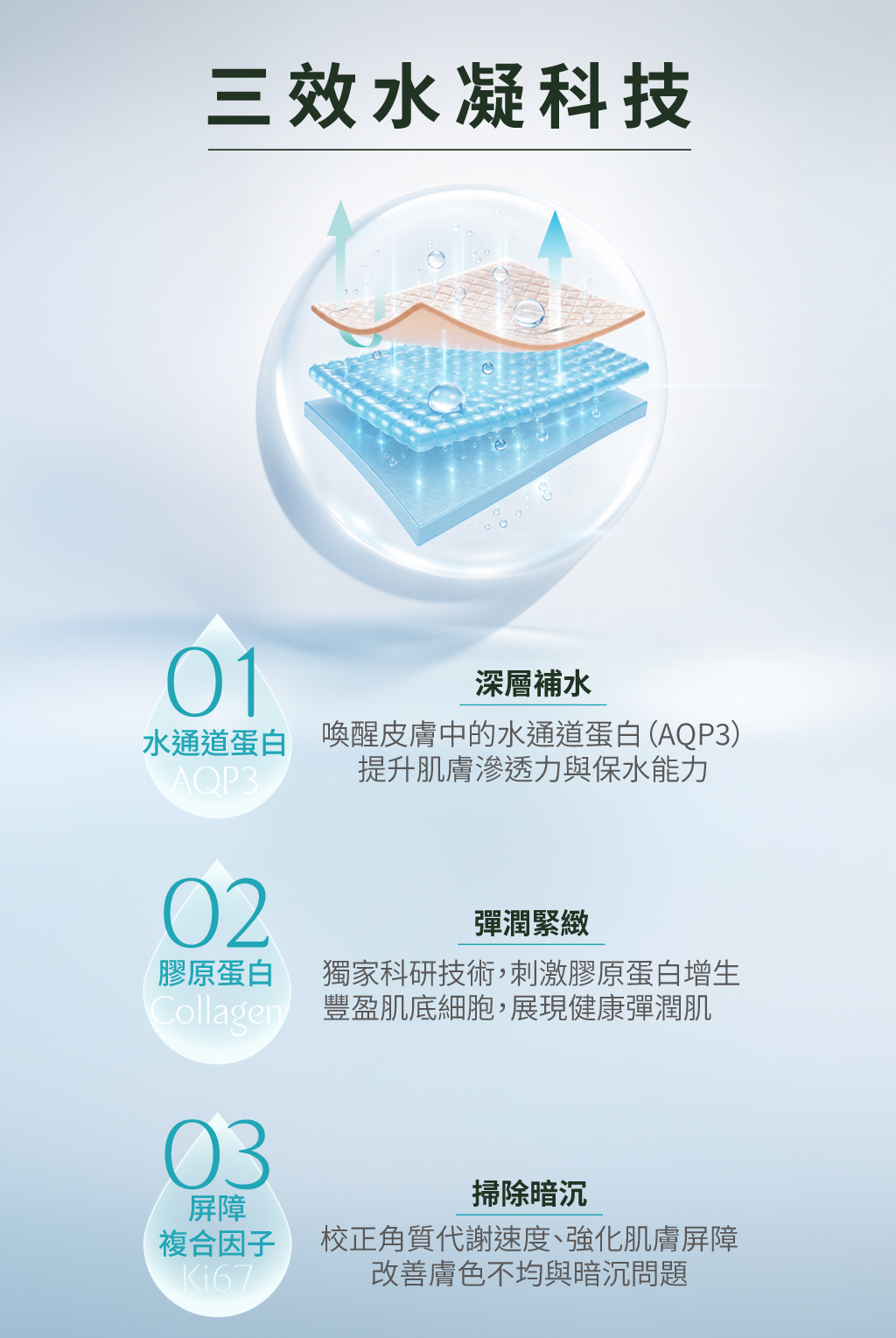 聚光針：三效水凝科技