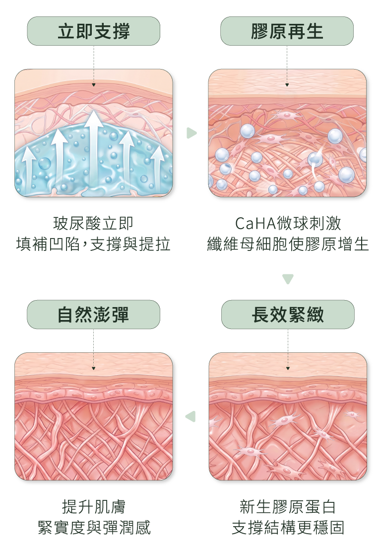 鎂神針如何作用於肌膚