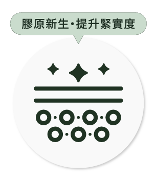 CaHA 膠原新生