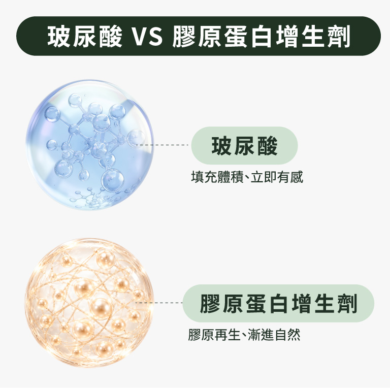 玻尿酸 V.S. 膠原蛋白增生劑結構與施打層次比較