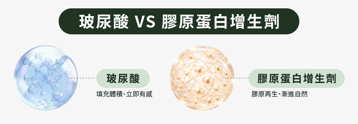 玻尿酸 V.S. 膠原蛋白增生劑結構與施打層次比較