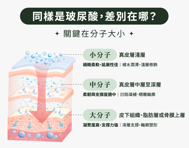 同樣是玻尿酸，差別在哪?