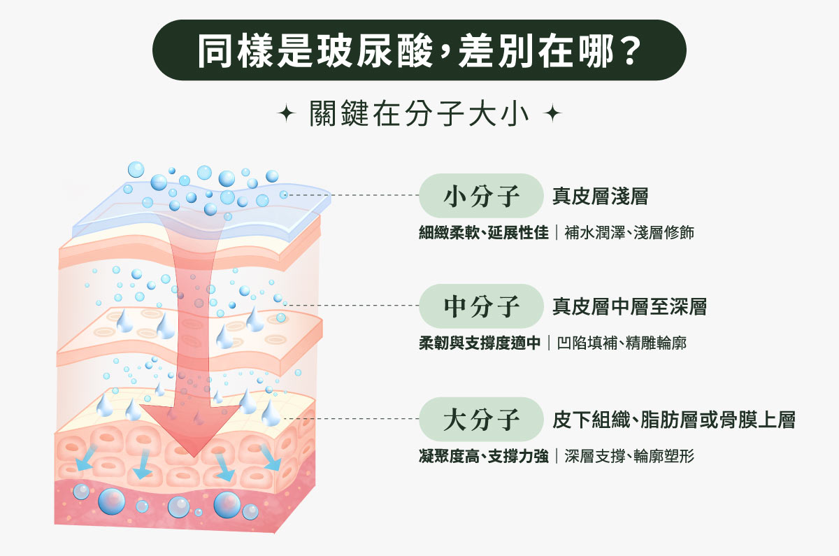 同樣是玻尿酸，差別在哪?