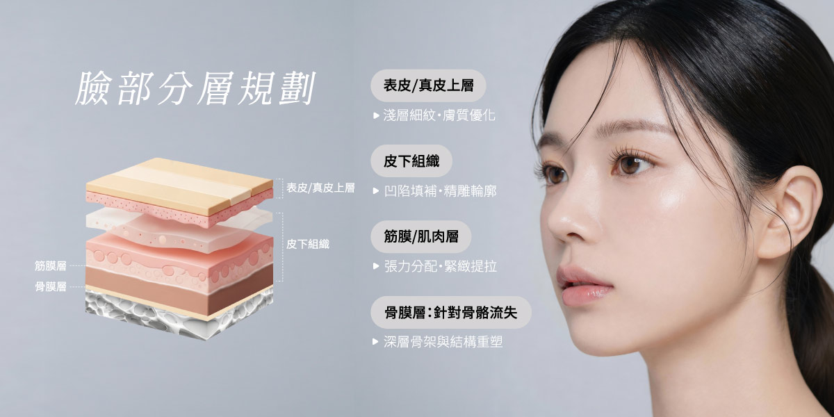 臉部分層規劃
