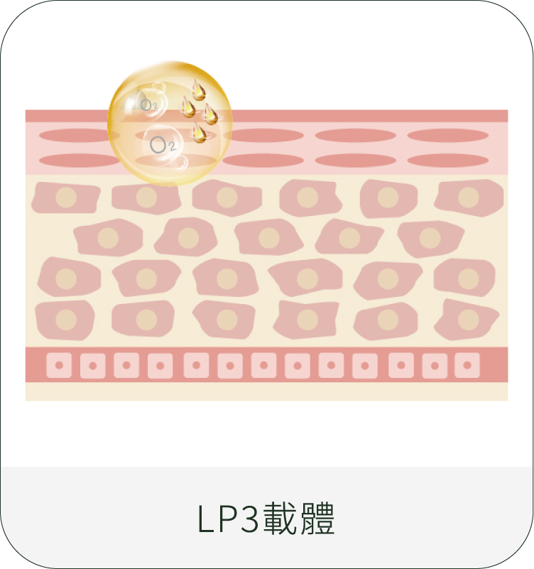 LP3專利載體+TDA技術STEP01
