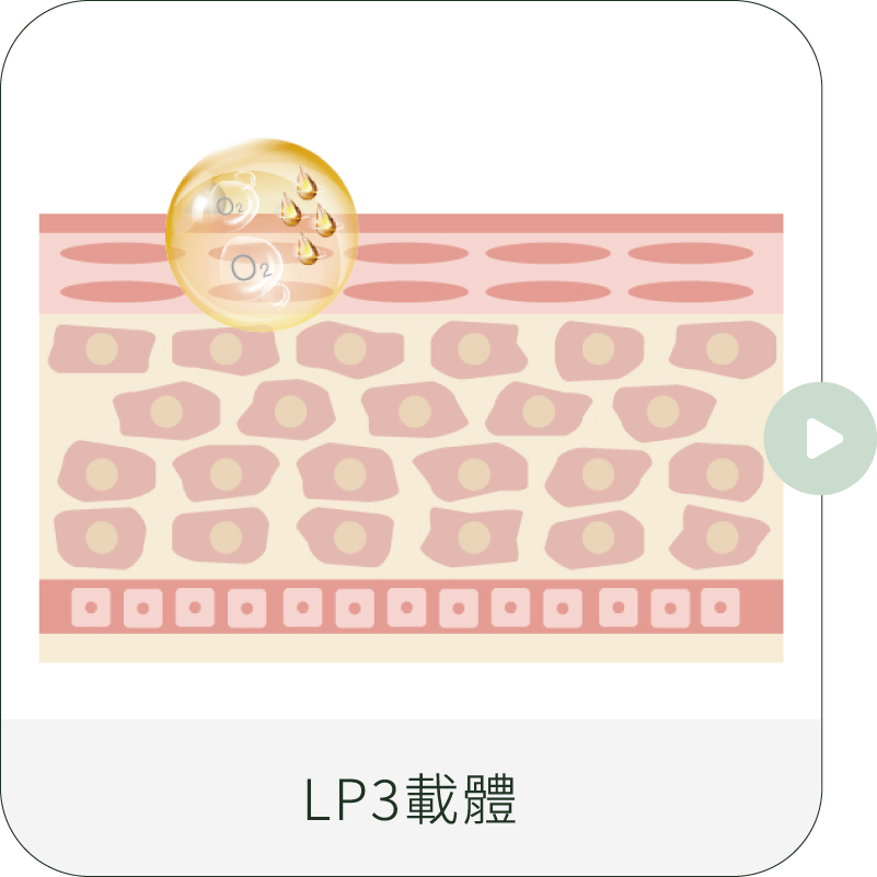 LP3專利載體+TDA技術STEP01_PC